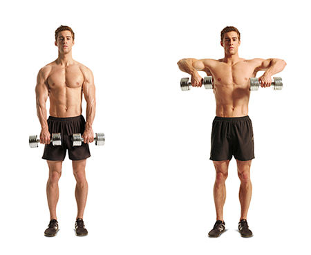 Dumbbell Upright Row