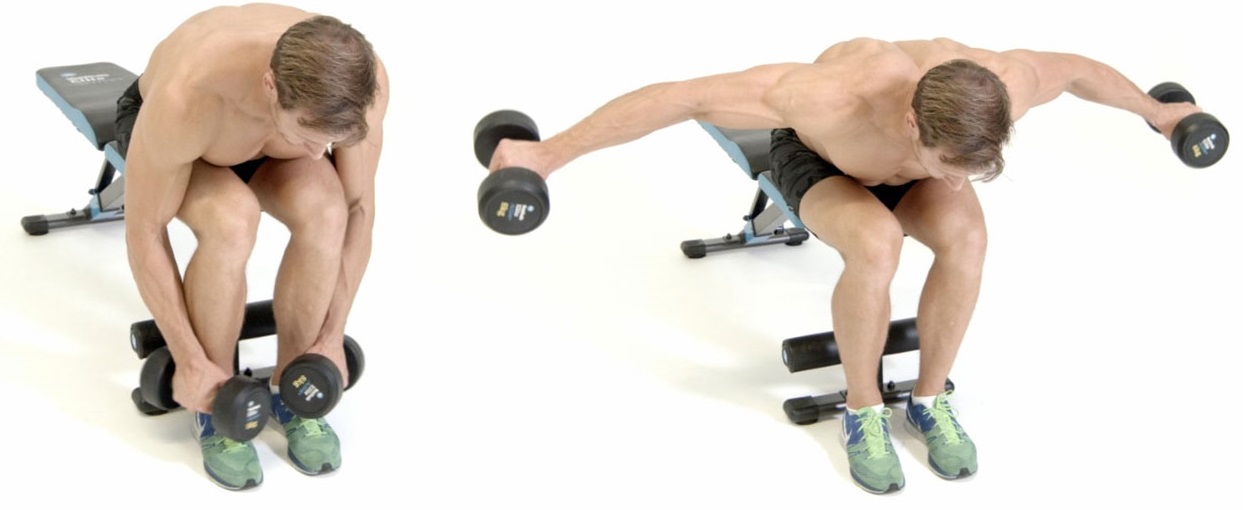 Seated bent-over dumbbell lateral raise