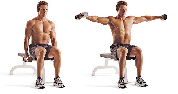 Seated Dumbbell Lateral Raise • Bodybuilding Wizard 