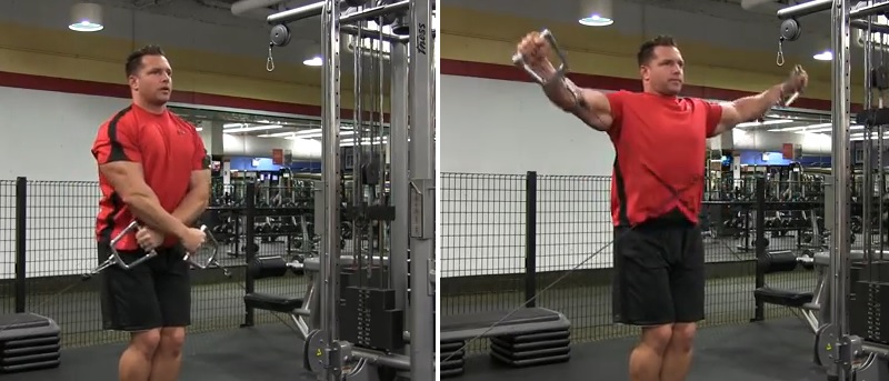 Cable Front Raise (Bilateral): Video Exercise Guide & Tips