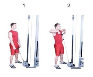 Upright Pulley Row • Bodybuilding Wizard