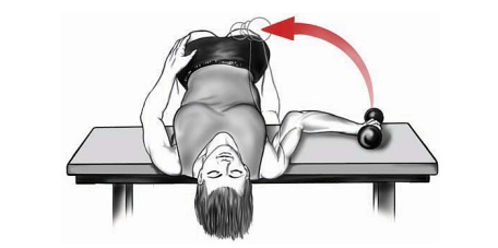 Supine Shoulder Internal Rotation with Dumbbell - Vissco