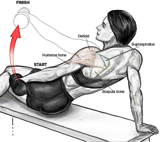 Incline Side Raise Exercise