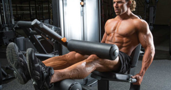 Seated Leg Curl Exercise Seated Leg Curl Exercise Guide