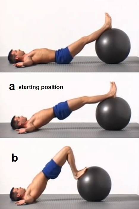 yoga ball leg exercises