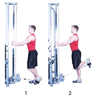 Leg 2025 curl pulley