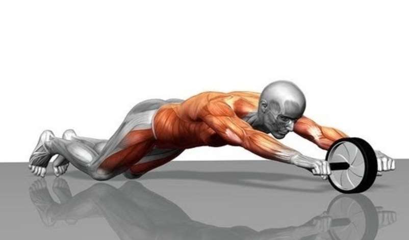 Ab rollout online exercise