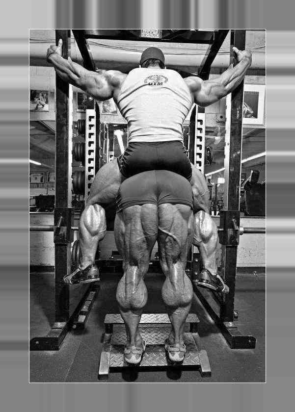 Best calf best sale exercises bodybuilding