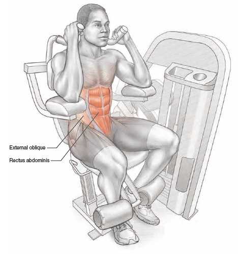 sitting ab crunch machine