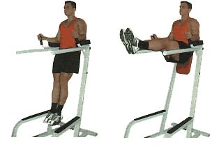 Vertical leg raise online muscles worked