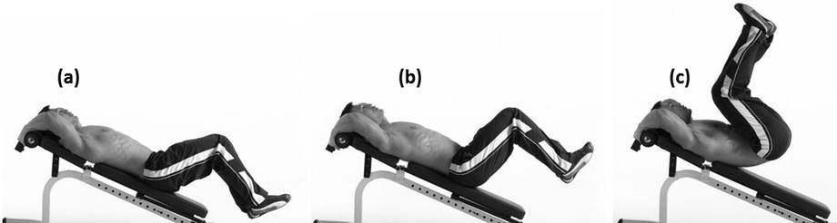 Reverse crunch discount on incline bench