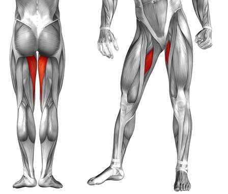 standing hip abduction machine