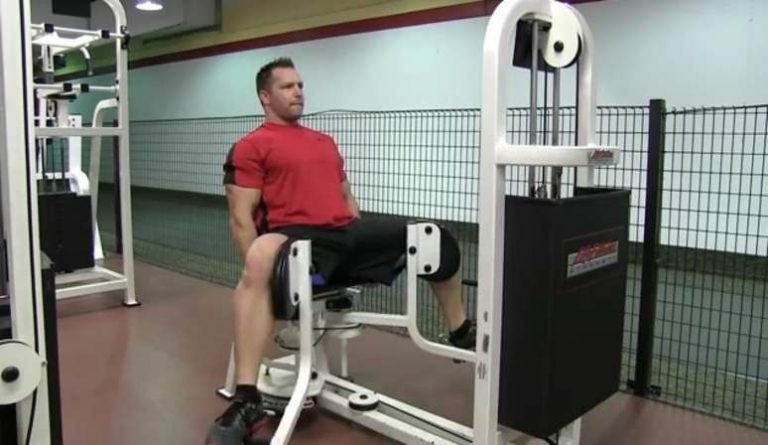 Seated Hip Adduction • Bodybuilding Wizard