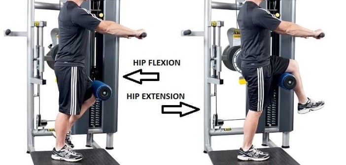 Glute Hip Exercises