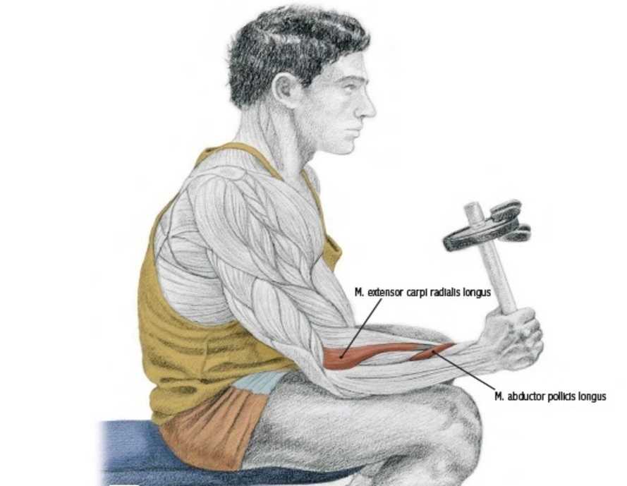 wrist and forearm workout