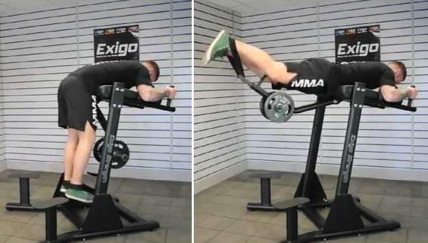 reverse hyperextension