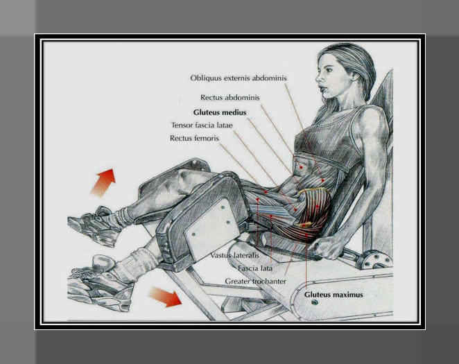 Seated Hip Abduction - Machine Hip Abduction