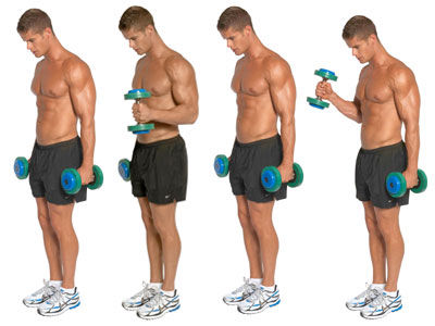 standing-hammer-curl-exercise-2.jpg