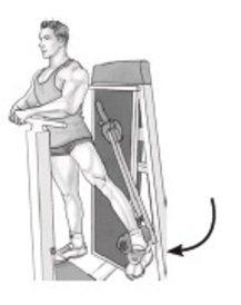 standing hip abduction machine