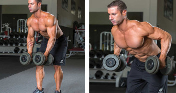 Two-Arm Dumbbell Row Two-Arm Dumbbell Row