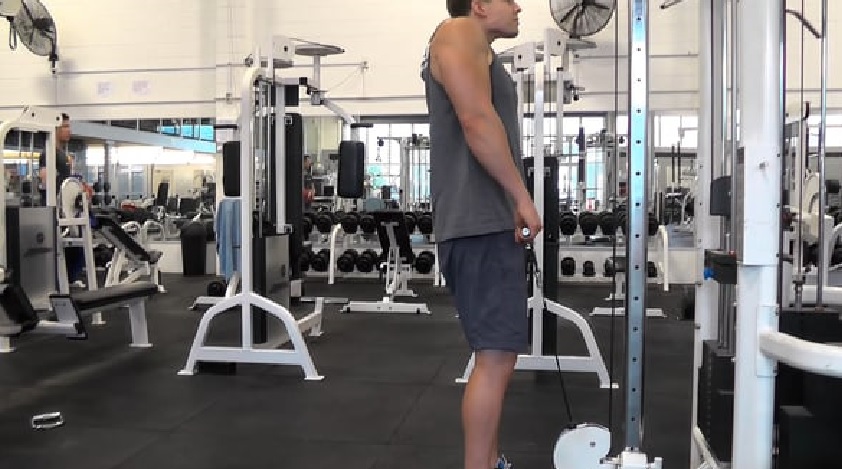 Cable Shrug Exercise Guide • Bodybuilding Wizard