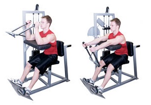 Machine Triceps Extension Exercise Guide