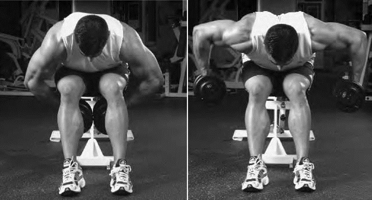 one arm bent over dumbbell row