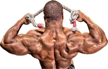 cable face pulls • Bodybuilding Wizard