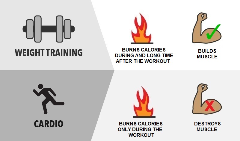 What's better for fat loss: weight training or cardio work?