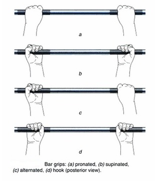 Different Types of Weightlifting Grips: Pronated, Supinated, Alternated, and Hook Grip