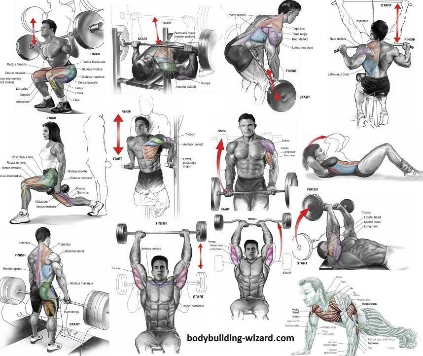 Bodybuilding Weight Training Posters Set Of Weight Training, 59% OFF