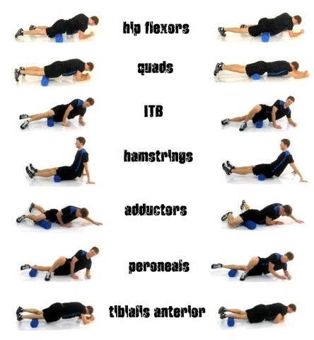 Foam Rollers: The Magic Bullets? • Bodybuilding Wizard