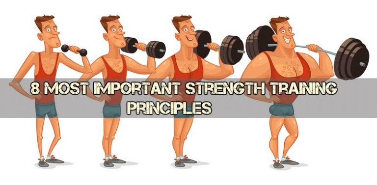 Strength Training Principles Bodybuilding 768x377 