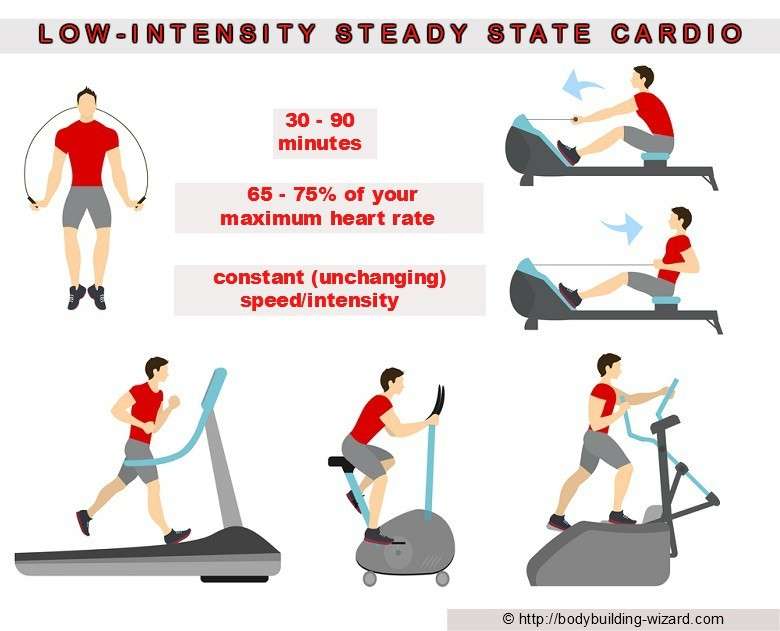 charactersitics of low-intensity cardio training