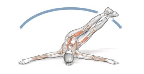 Leg wipers online exercise