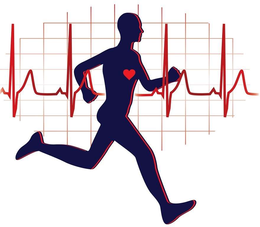 cardiovascular endurance test