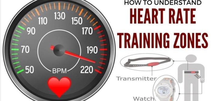 the-heart-rate-zones-how-to-calculate-your-target-heart-rate-range