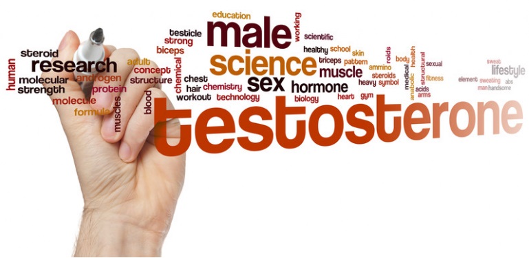 exercise & testosterone release