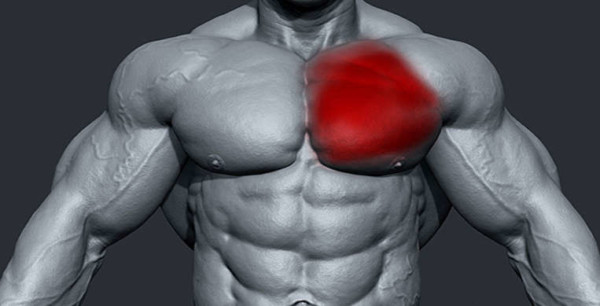 Common Chest Muscle Injuries