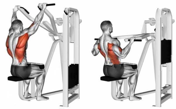 Machine Lat Pulldown Exercise • Bodybuilding Wizard