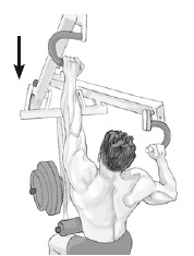 One arm lat pull down hot sale