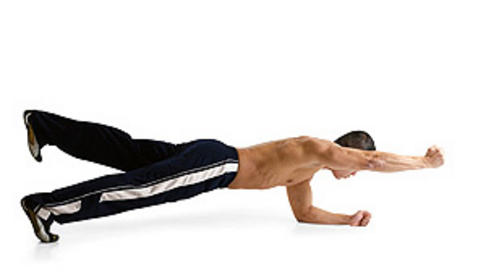 Plank with opposite arm and leg lift Bodybuilding Wizard