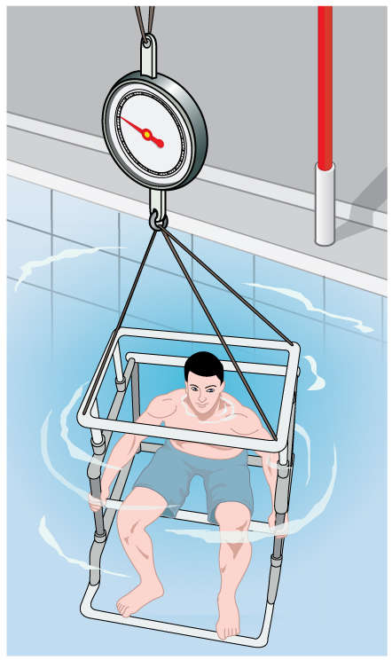 Hydrostatic weighing for bodybuilding