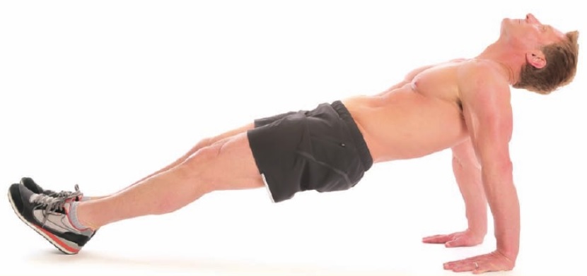 10 Core Yoga Poses for Abs, Hip, and Lower Back Strength (With Sequence) -  Welltech