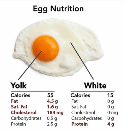 Eggs & egg whites
