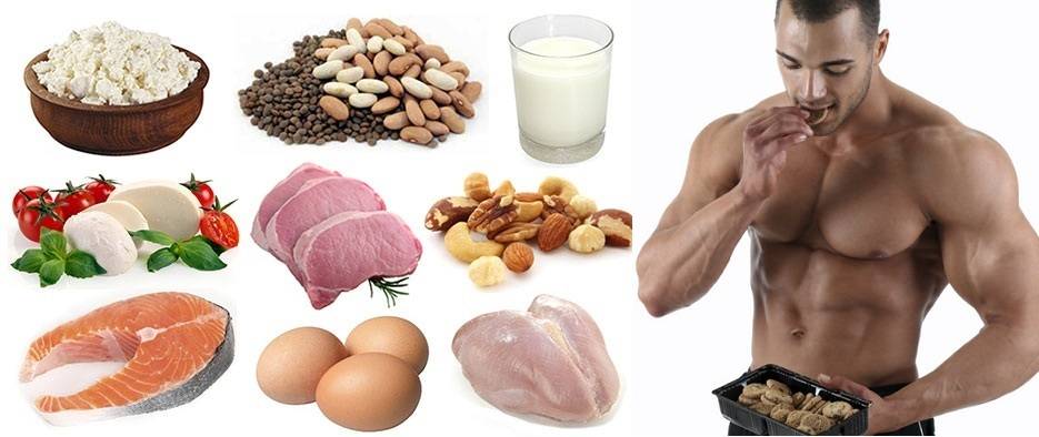 protein rich food for bodybuilding