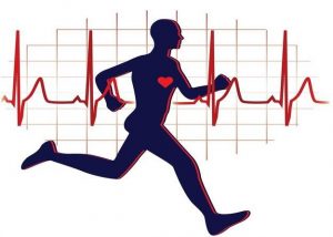 cardiorespiratory endurance