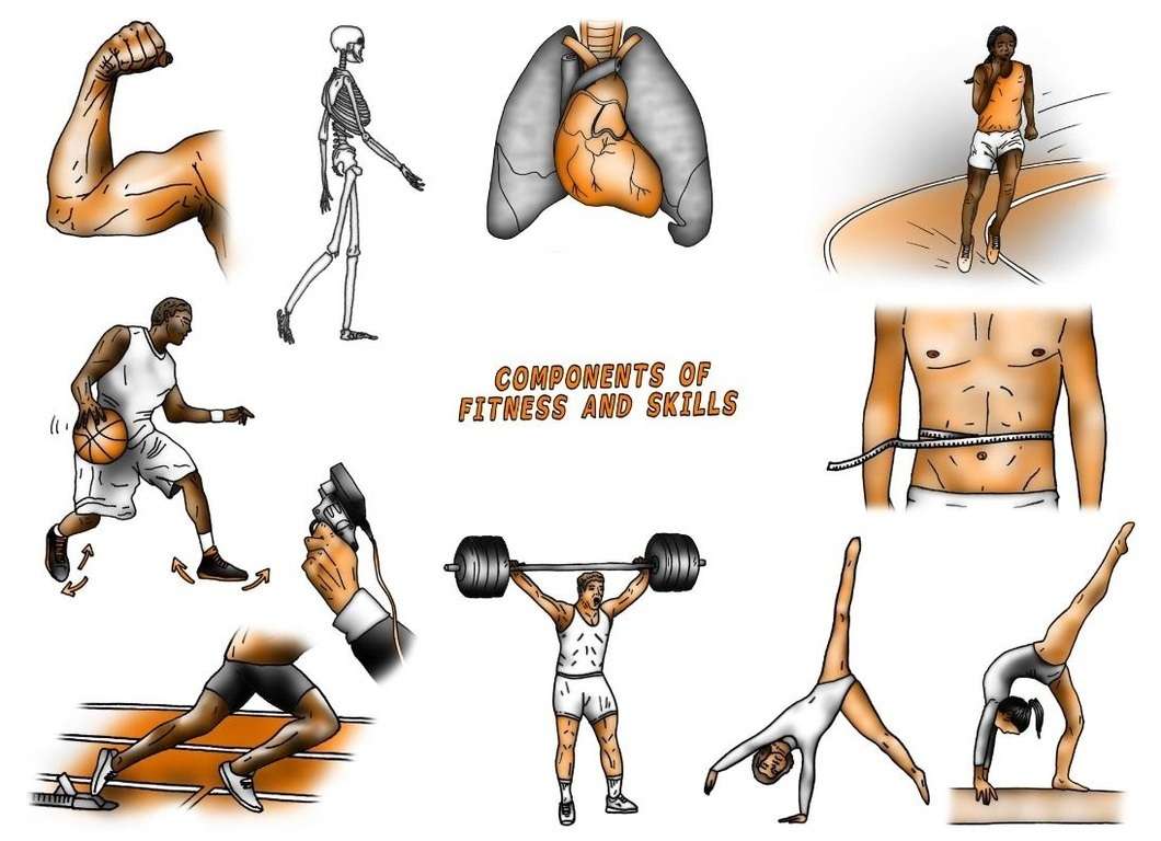 five components of physical fitness