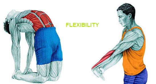 how-to-improve-your-flexibility-christ-memorial