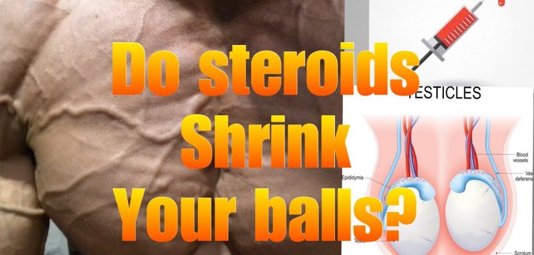 Anabolic steroids and testicular shrinkage • Bodybuilding Wizard